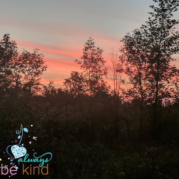 Meet your Posher, Tammy - Picture 1 of 1